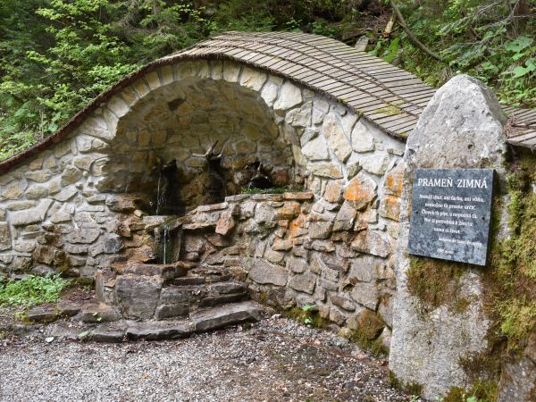 Zdroj: Internetová stránka LESY SR 