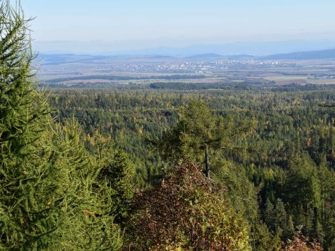 Rozsiahle plochy obnovených a vychovávaných kalamitných plôch v tatrách 