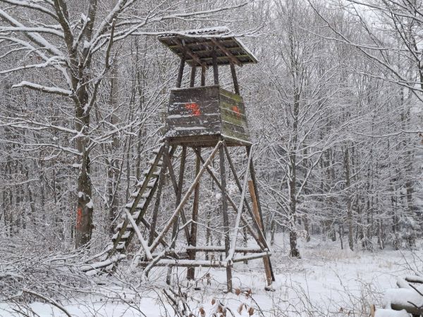 Ilustračn&eacute; foto: Ing. R&oacute;bert Gomb&aacute;rik