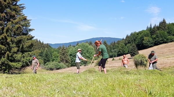 Kosenie l&uacute;k na Z&aacute;lomskej 