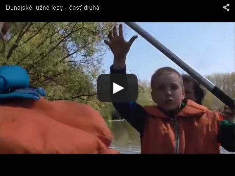 Dunajsk&eacute; Lužn&eacute; lesy - časť druh&aacute;