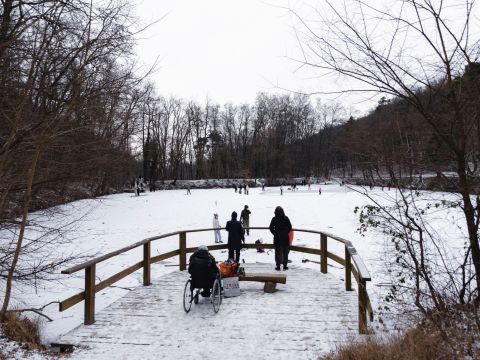 Zdroj: FB stránka Mestské lesy v Bratislave 