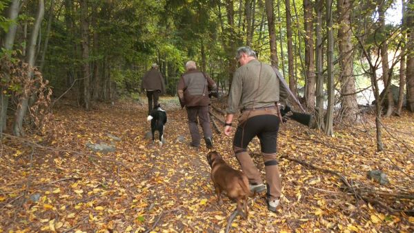 Momentka z dohľad&aacute;vania medvedice