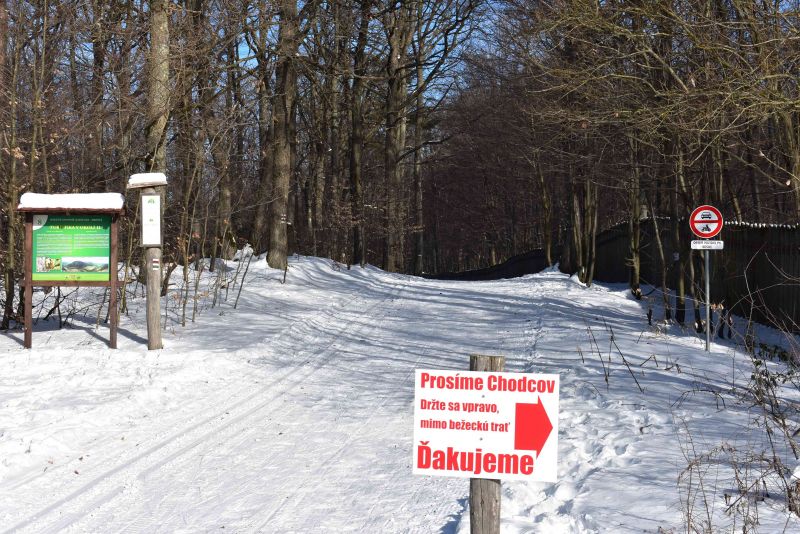 Ilustračné foto: Jozef Marko 