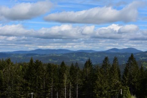 Slovensko má ešte stále vďaka trvalo udržateľnému hospodáreniu krásne lesy