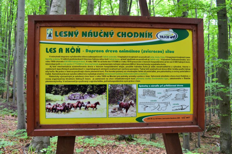 Ilustračné foto Jozef Marko