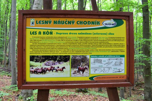 Ilustračn&eacute; foto Jozef Marko