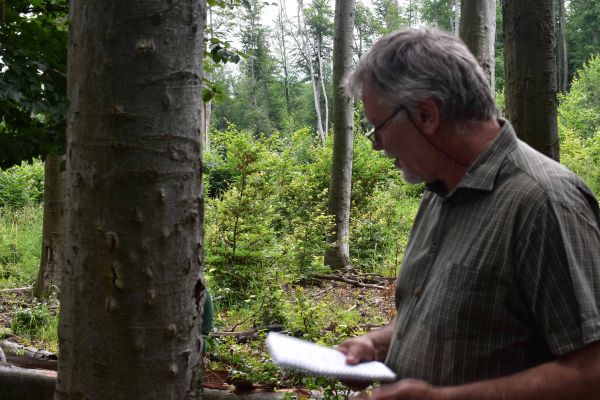 Ing. MIlan Z&uacute;brik PhD. pri strome napadnutom lykožr&uacute;tom bukov&yacute;m