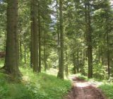 Mestu vykompenzuj&uacute; obmedzenie hospod&aacute;renia