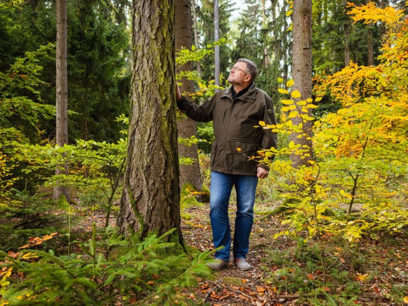 Tomáš Vrška z Mendelovej univerzity v Brne: Namiesto smrekov a bukov nastupuje kvôli zmene klímy éra duba a odolnejších zmiešaných porastov