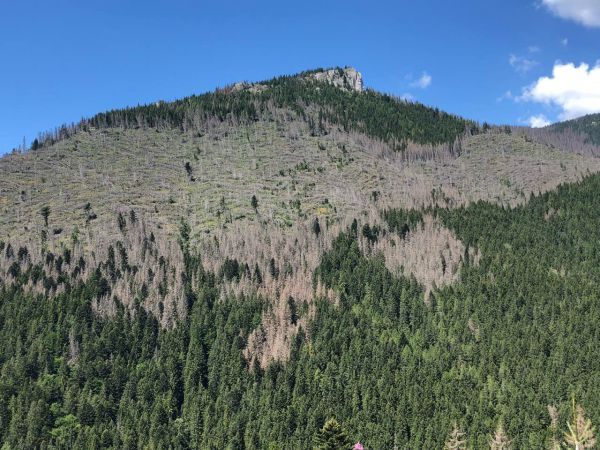 V&yacute;sledok pas&iacute;vneho pr&iacute;stupu, presadzovan&eacute;ho ochran&aacute;rmi