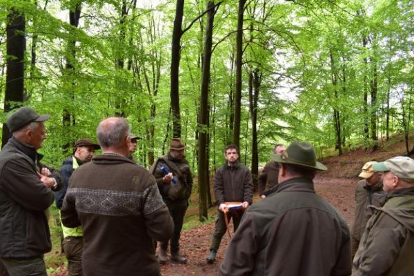 Ilustračn&eacute; foto Jozef Marko