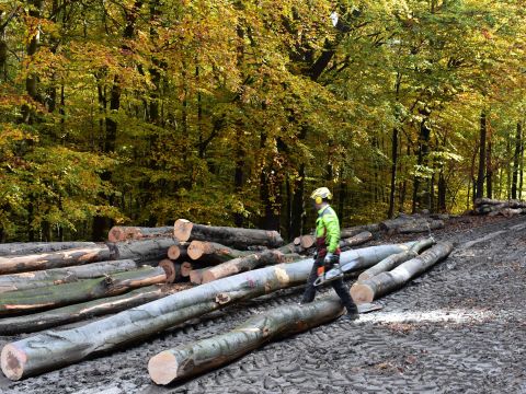 Ilustračné foto: Jozef Marko 