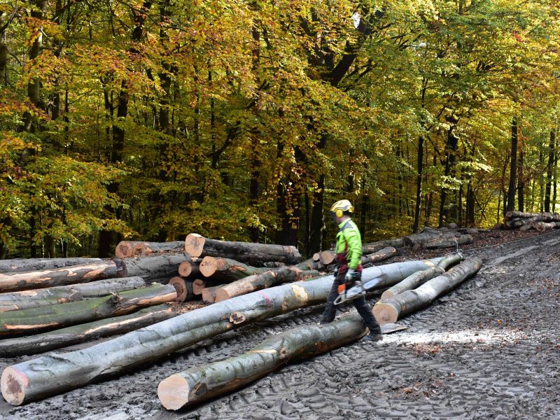 Ilustračné foto: Jozef Marko 