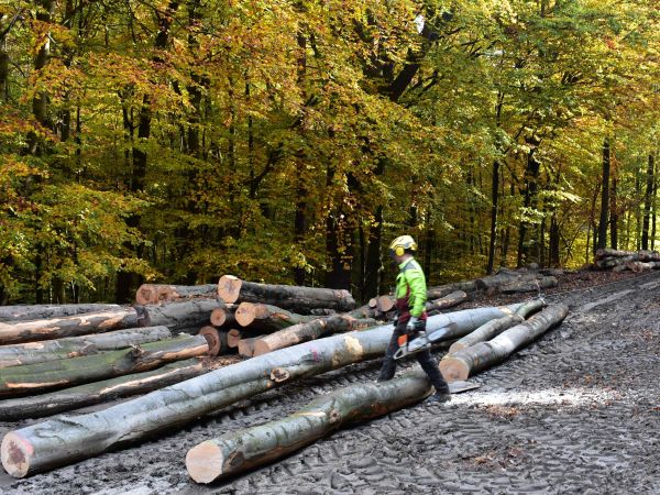 Ilustračné foto: Jozef Marko 