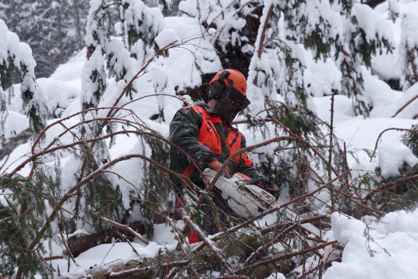 Pilč&iacute;k pri pr&aacute;ci v n&aacute;ročn&yacute;ch zimn&yacute;ch podmienkach v kalamite