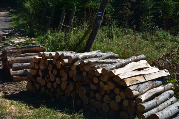 Ilustračn&eacute; foto Jozef Marko