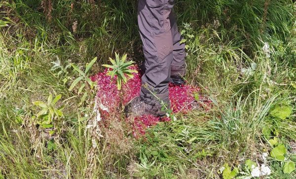 Ilustračn&eacute; foto: Spr&aacute;va TANAP-u 