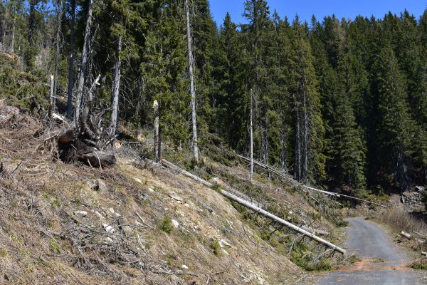 Ilustračn&eacute; foto Jozef Marko