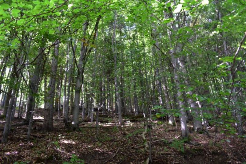 Ilustračné foto Jozef Marko