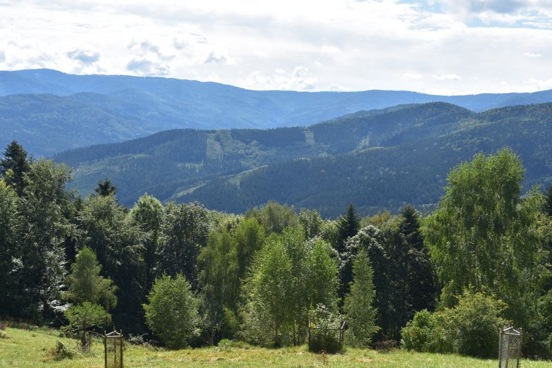 Ilustračné foto Jozef Marko