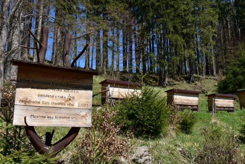 Včelnica Mestských lesov Kremnica s elektrickým ohradníkom 