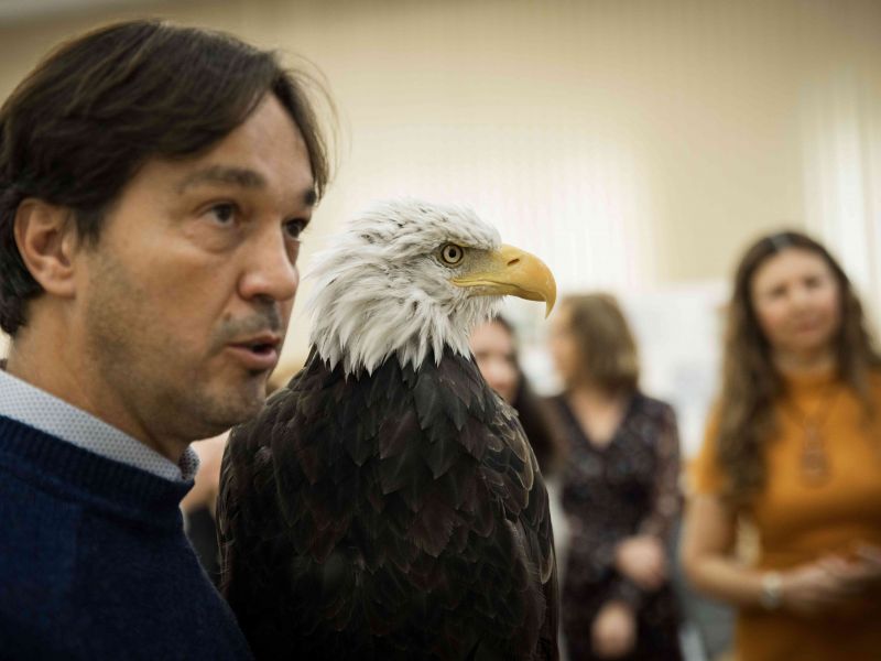 Pavel Michal s orliakom bielohlavým 