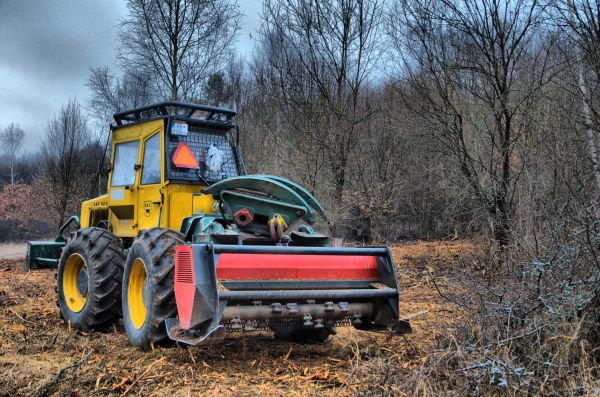 Ilustračn&eacute; foto LF TUZVO