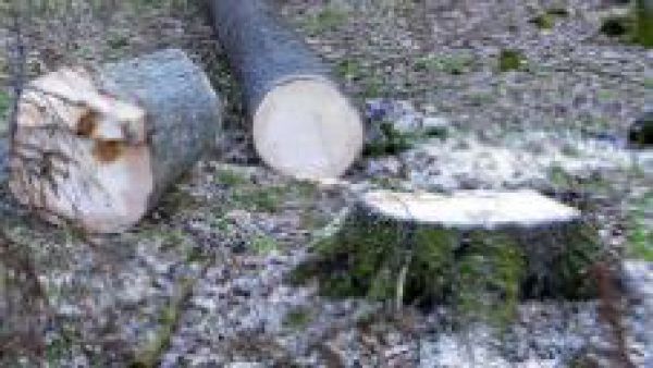 Ilustračn&eacute; foto