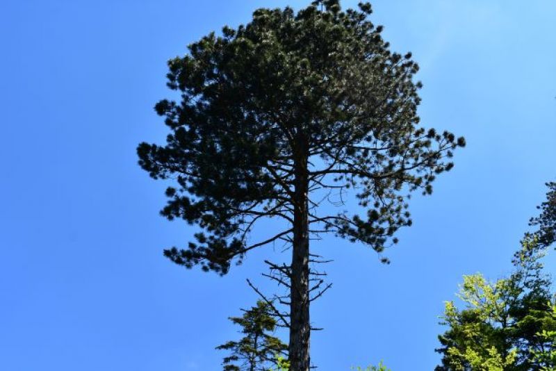 Ilustračné foto Jozef Marko