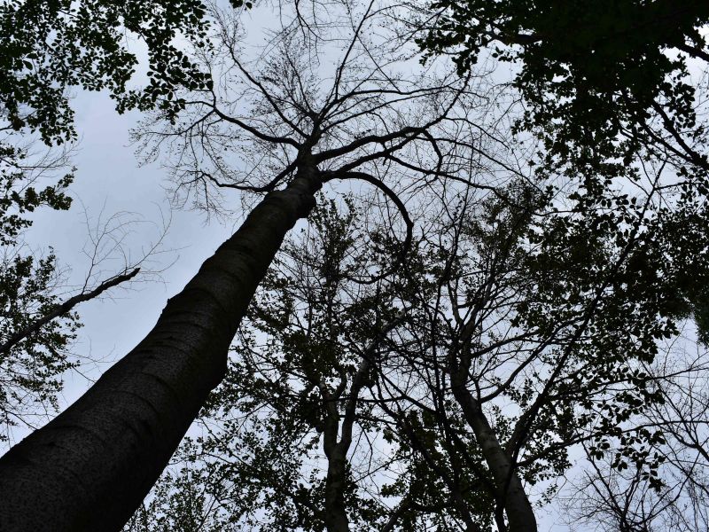 Ilustračn&eacute; foto: Jozef Marko 