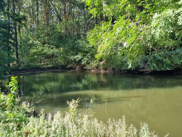 Ilustračné foto: Ing. Róbert Gombárik 