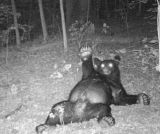 Ilustračn&eacute; foto: FB str&aacute;nka LES a Letokruhy 