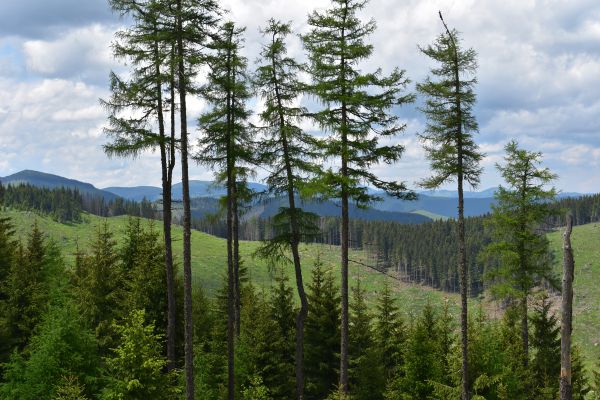 Ilustračn&eacute; foto Jozef Marko