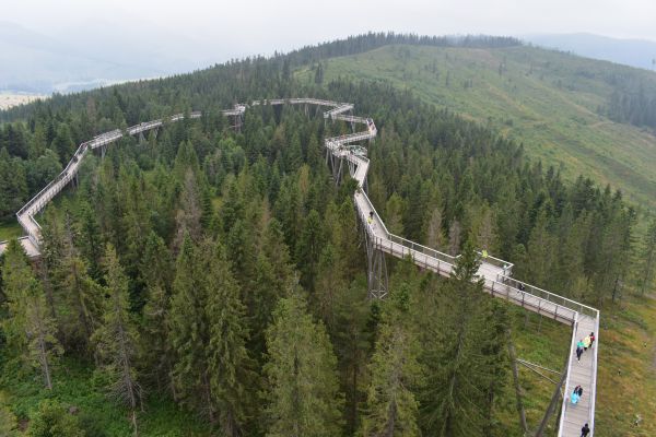 Chodn&iacute;k korunami stromov na Bachledke