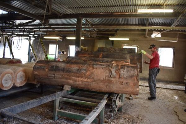 Ilustračn&eacute; foto Jozef Marko