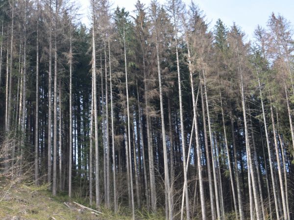 Ilustračné foto: Jozef Marko 