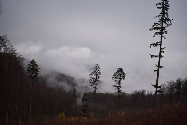 Ilustračn&eacute; foto Jozef Marko