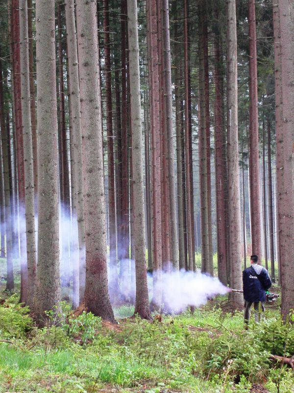 Ilustračn&eacute; foto Jozef Marko