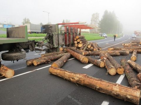 ilustračn&eacute; foto