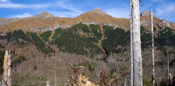 Národná prírodná rezervácia Belianske Tatry, bezzásahová zóna v roku 2020