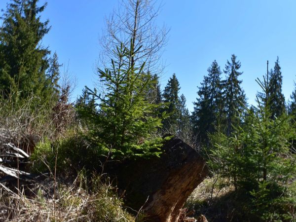 Ilustračné foto: Jozef Marko 