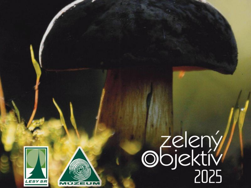 Zdroj: Internetov&aacute; str&aacute;nka LESY SR 