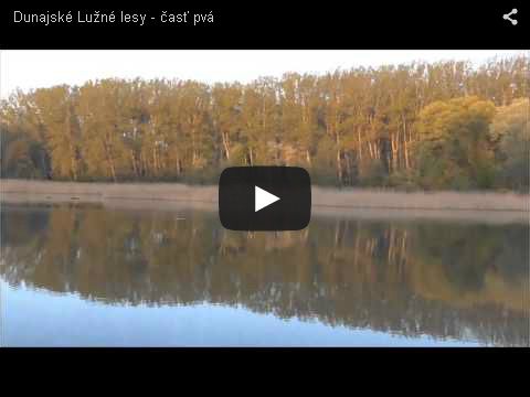 Dunajsk&eacute; Lužn&eacute; lesy - časť prv&aacute;