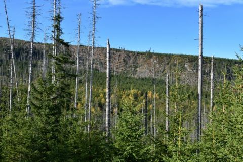 Národný park Šumava