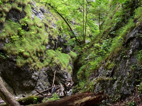 Jedna z roklín v Slovenskom raji 