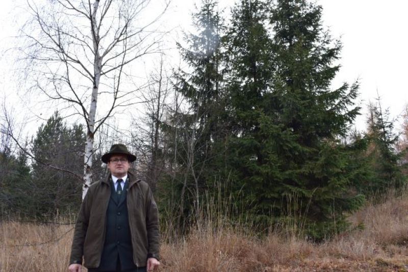 Ing. Ján Marhefka na obnovej kalamitnej ploche s pestrým drevinovým zložením 