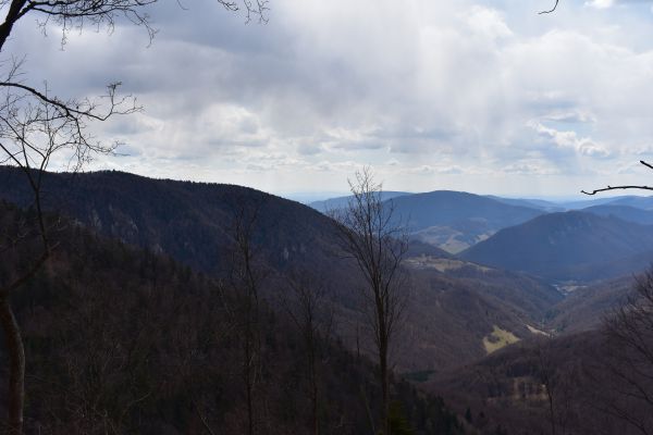 Ilustračn&eacute; foto Jozef Marko