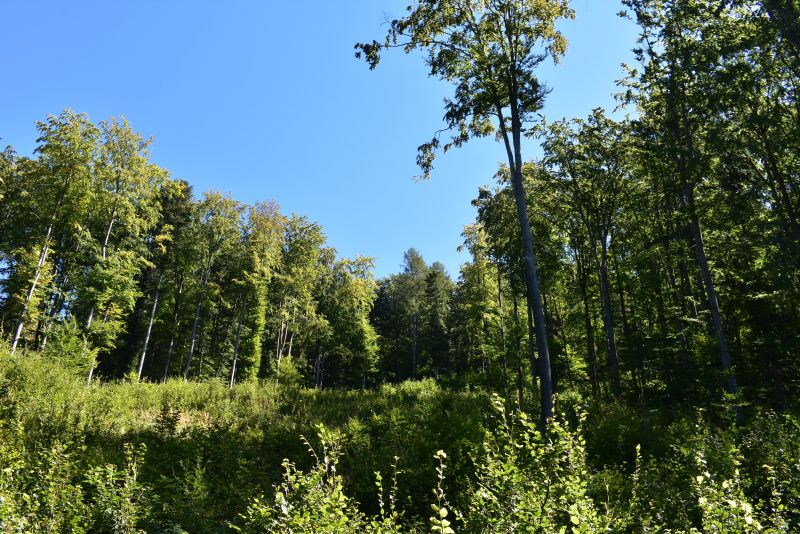 Ilustračné foto Jozef Marko