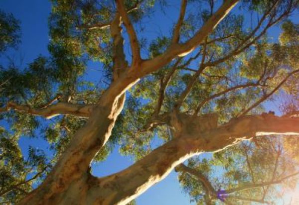 Ilustračn&eacute; foto it